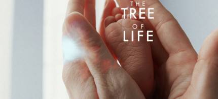 Immagine del film "Tree of life": un piedino di un neonato nelle mani di un adulto