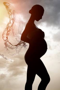 Silhouette di donna incinta