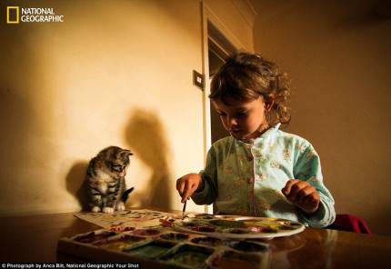 bambina dipinge acquerello seduta su un tavolo allle prime luci del mattino, un gattino posato sul tavolo la osserva