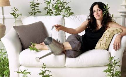 Weed Mary Louise Parker