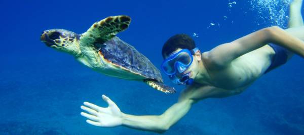 bimbo e tartaruga sott'acqua