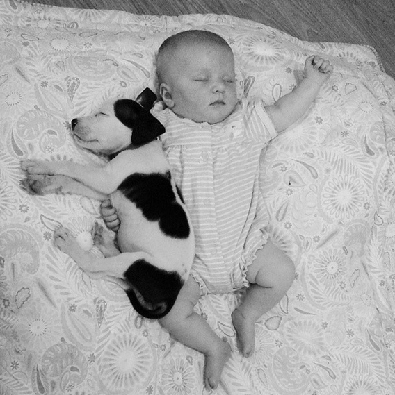 neonato e cagnolino sdraiati