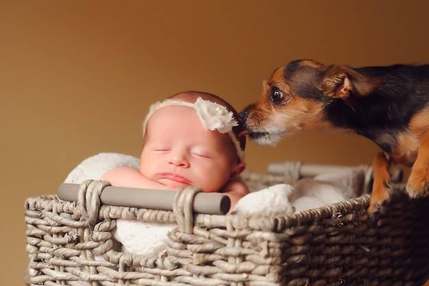 neonata con cane