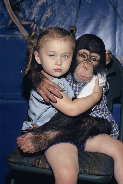 bimba abbraccia scimmia
