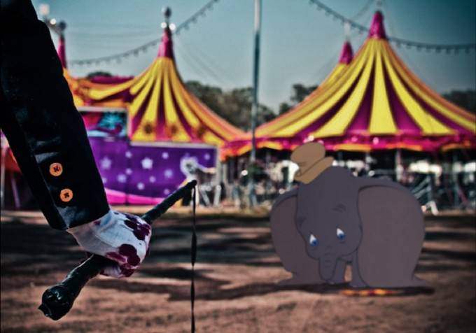 Dumbo picchiato