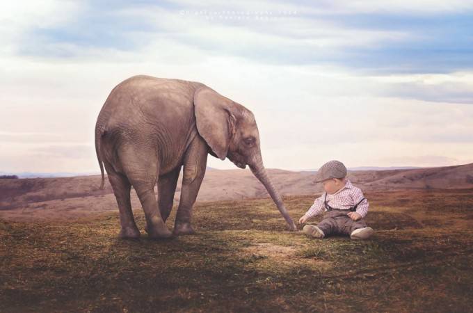 elefante e bimbo