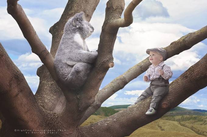 bimbo con koala