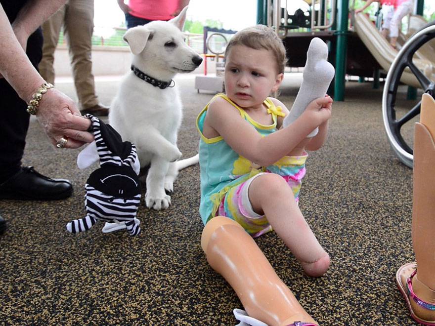 Sapphyre Johnson: la storia di un cane ed una bambina speciali