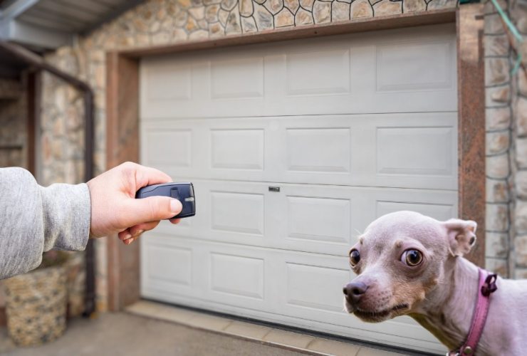 Posti della casa dove è reato tenere il cane