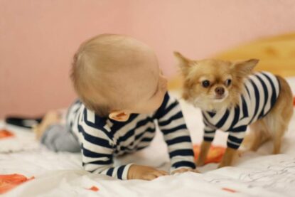 cane e bambino